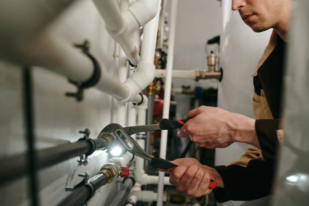 Best Local Plumber Services  in Holtville, CA