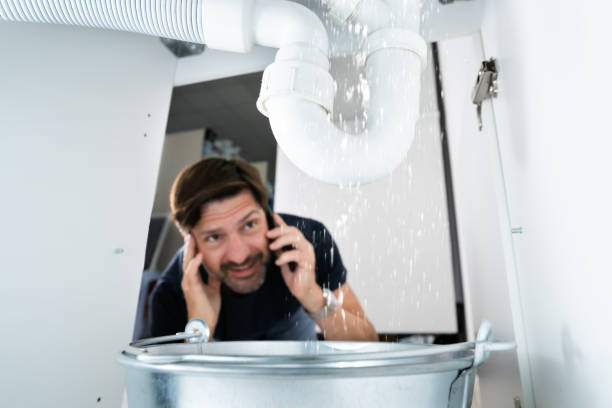 Best Residential Plumbing Services  in Holtville, CA